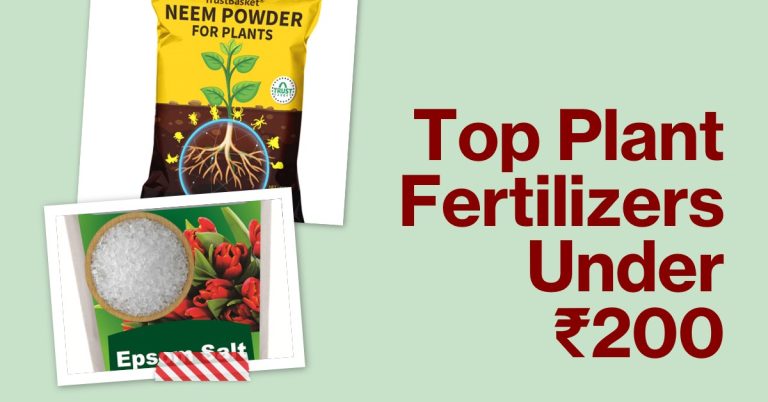Top 5 Plant Fertilizers Under ₹200 for Thriving Home Gardens